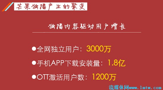 收入证明_预计本年销售收入(2)